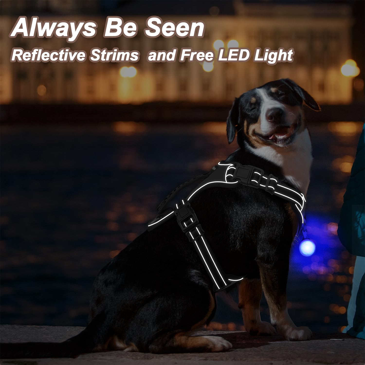 Perperqer Dog Harness Black No Pull Y Shaped For Medium Sized Dog, Small To Large Dogs Reflective Adjustable Easy Walk Puppy Har